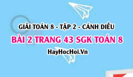 Bài 2 trang 43 Toán 8 Tập 2 Cánh Diều